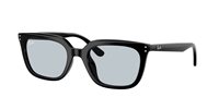 Occhiali da sole Ray-Ban 4439D901/7254 - 4439D901/7254